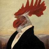 Vester