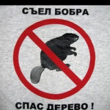 dima-mishin