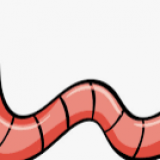 worms