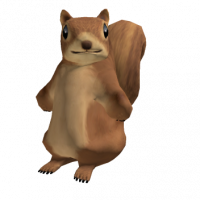 811