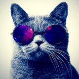 RosieKitten1015