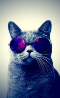 RosieKitten1015