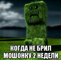 Bahaha