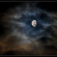 Loup007A