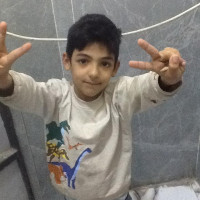 Zeed